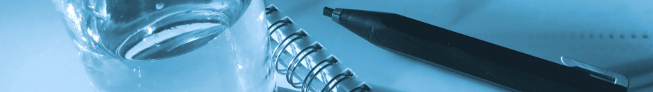 dph Management Consulting